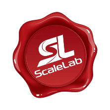 Печатка ScaleLab на брифі
